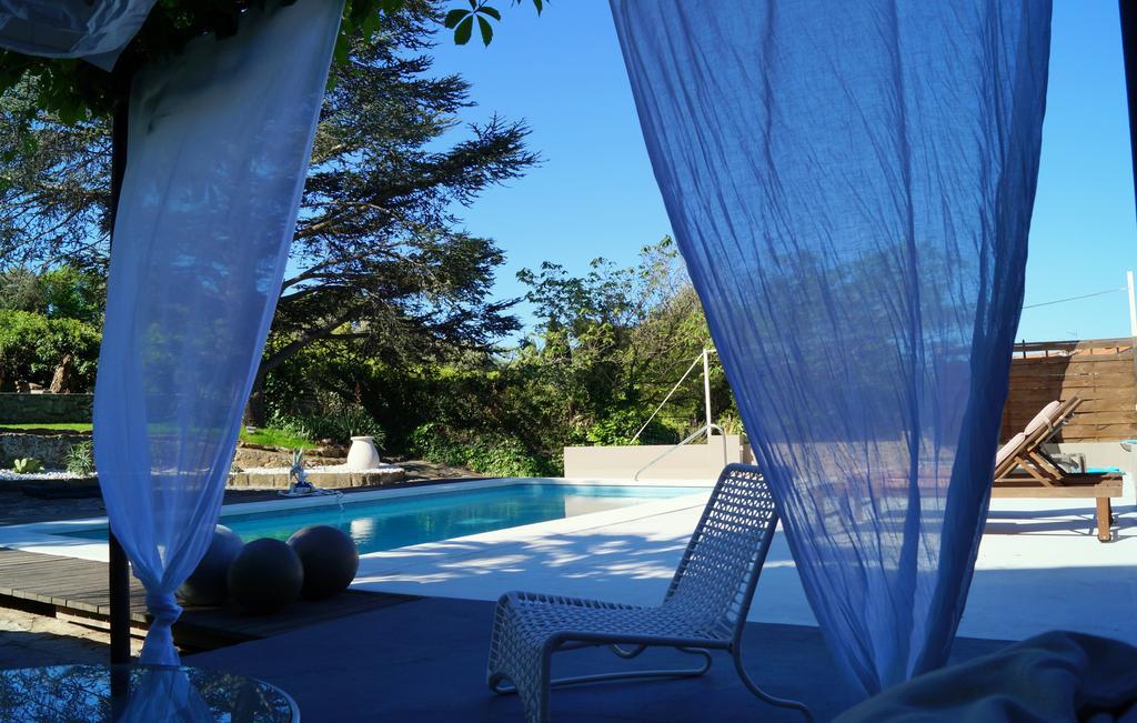Chambre D'Hotes Clos Du Petit Jesus Cassis Exteriör bild
